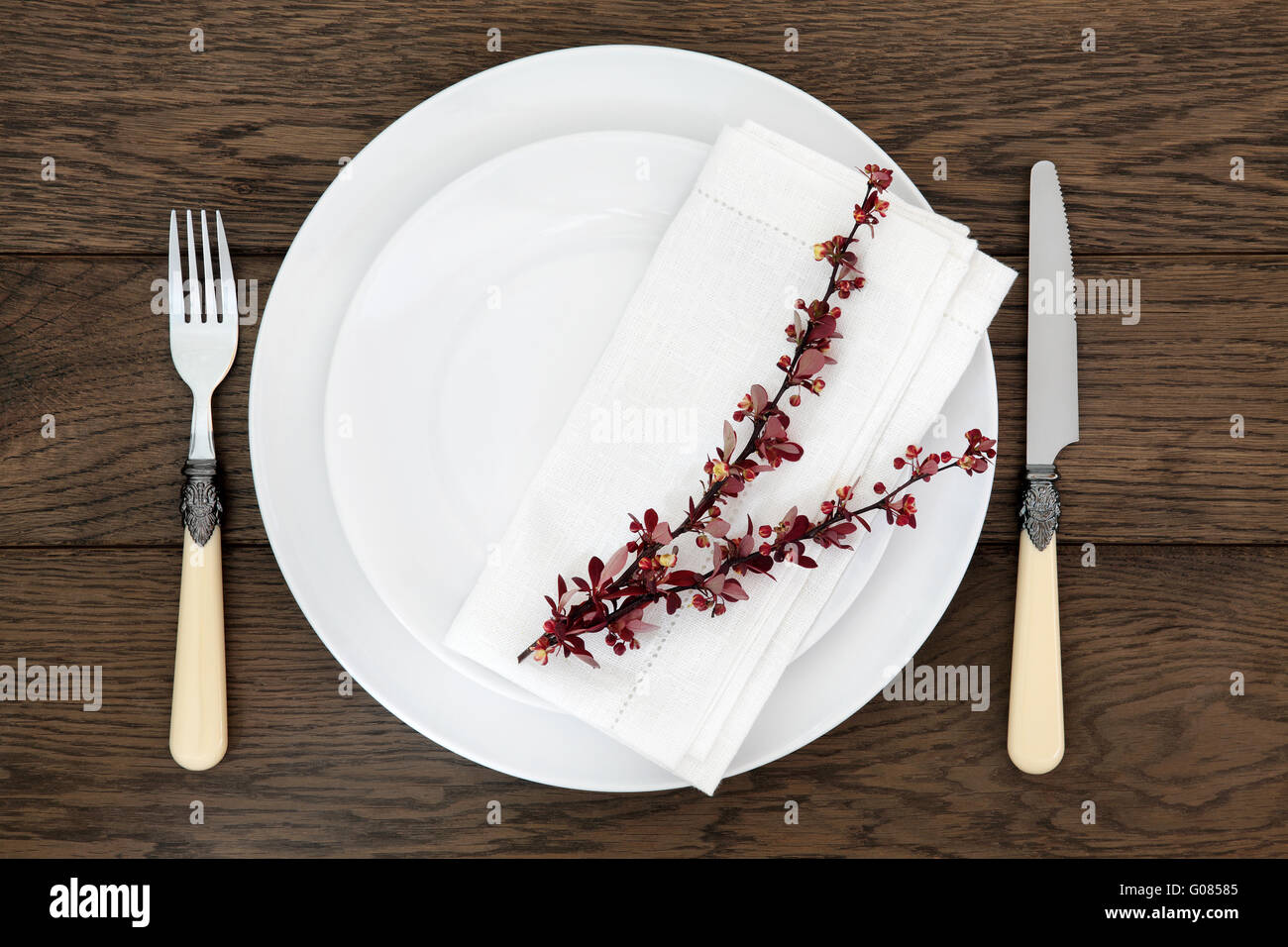 Dinner table place setting with white round porcelain dishes, berberis ...