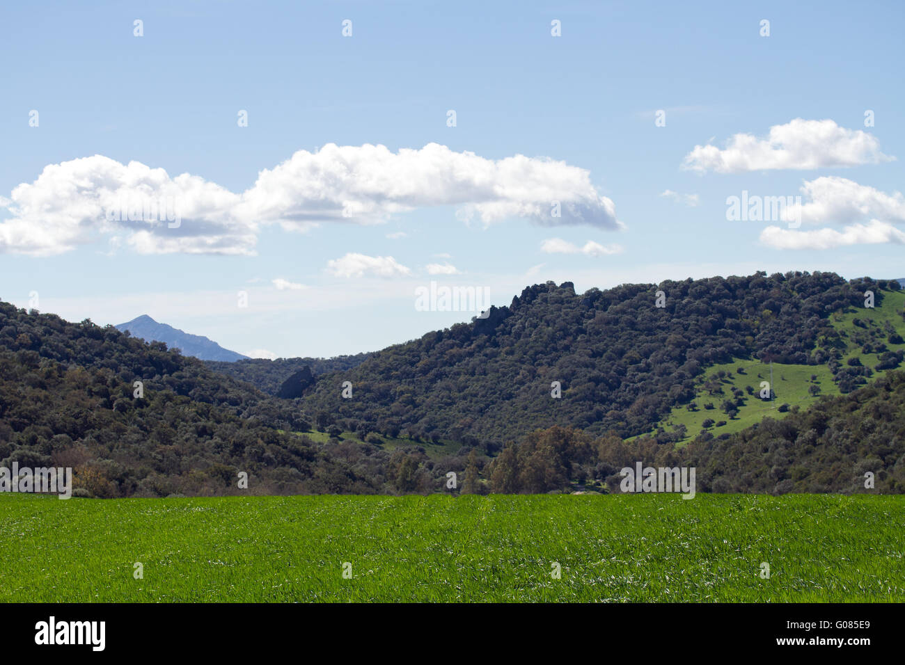Wonderful landscape. Andalusia Stock Photo