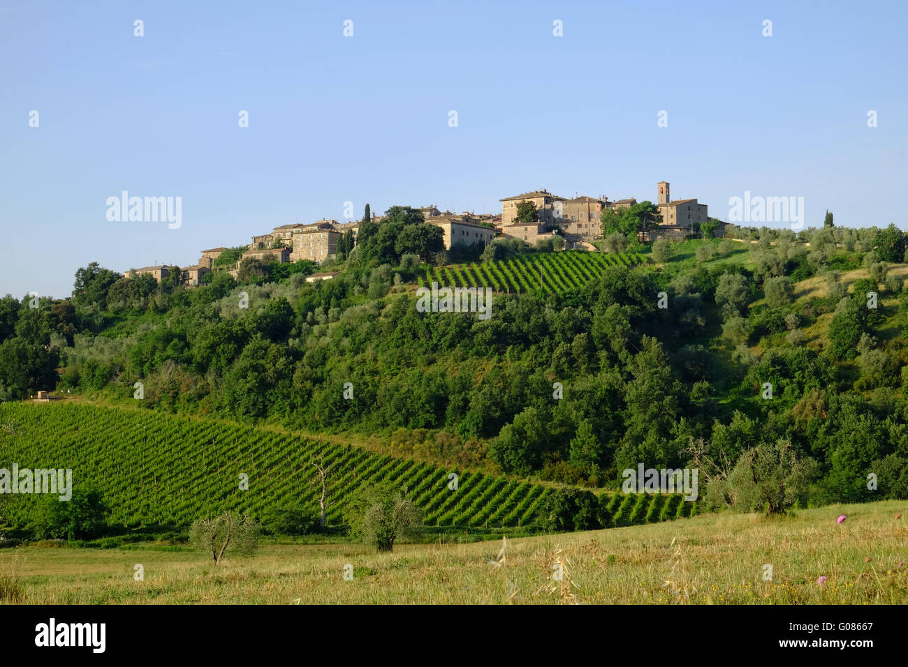 Hilltop town in Tuscany with vinyards Stock Photo