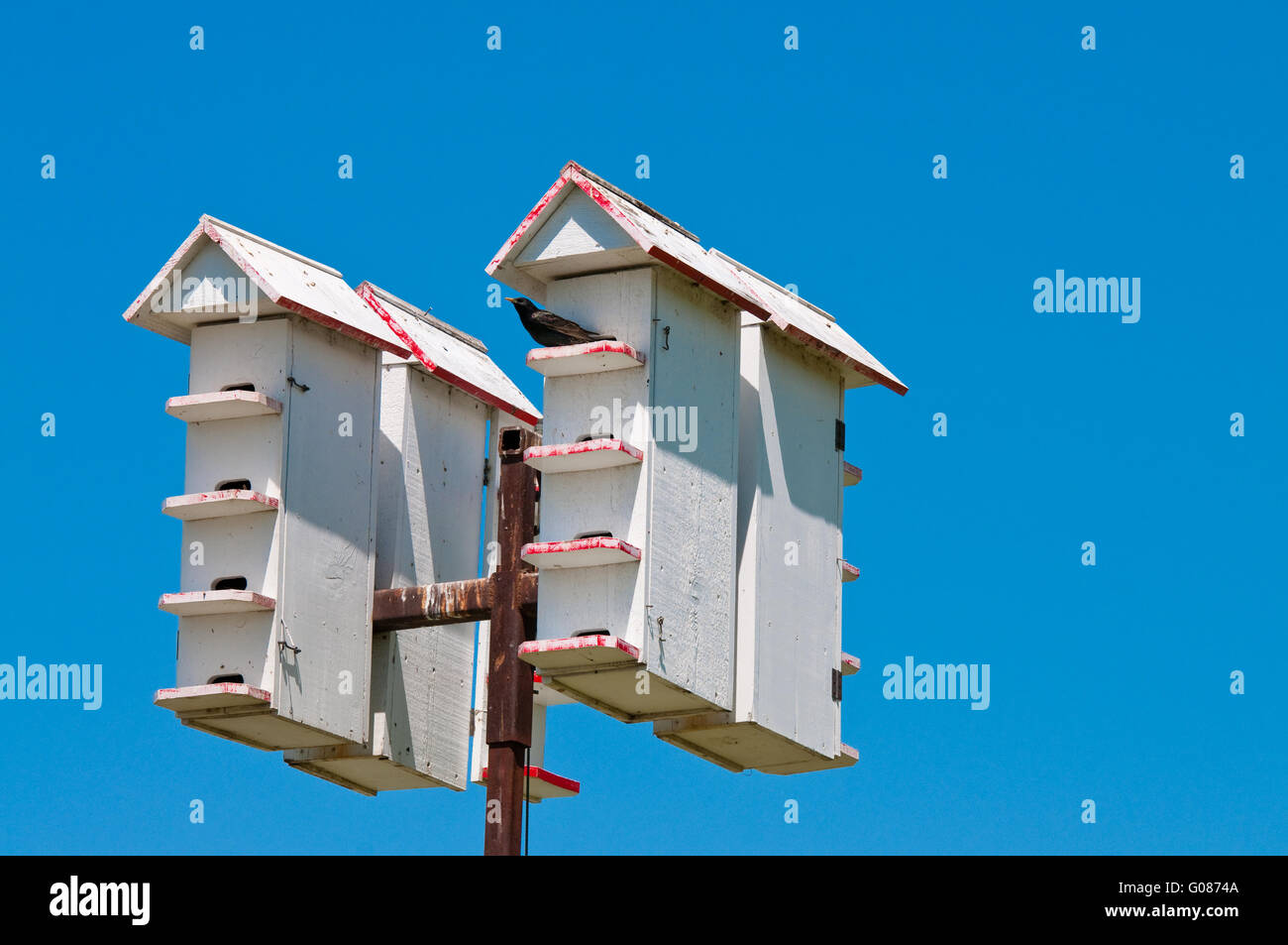 Up-close shot of bird houses Stock Photo
