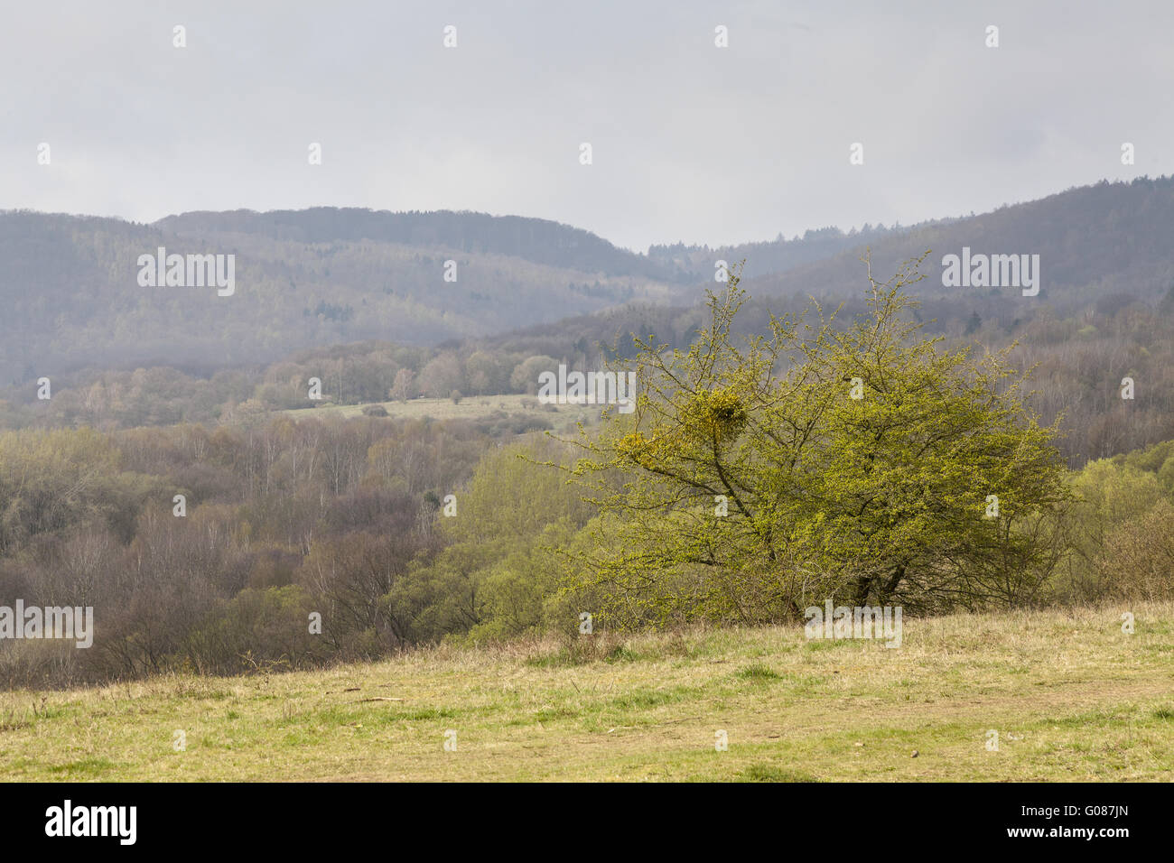 Landscape of the nature reserve Dönche in Kassel Stock Photo