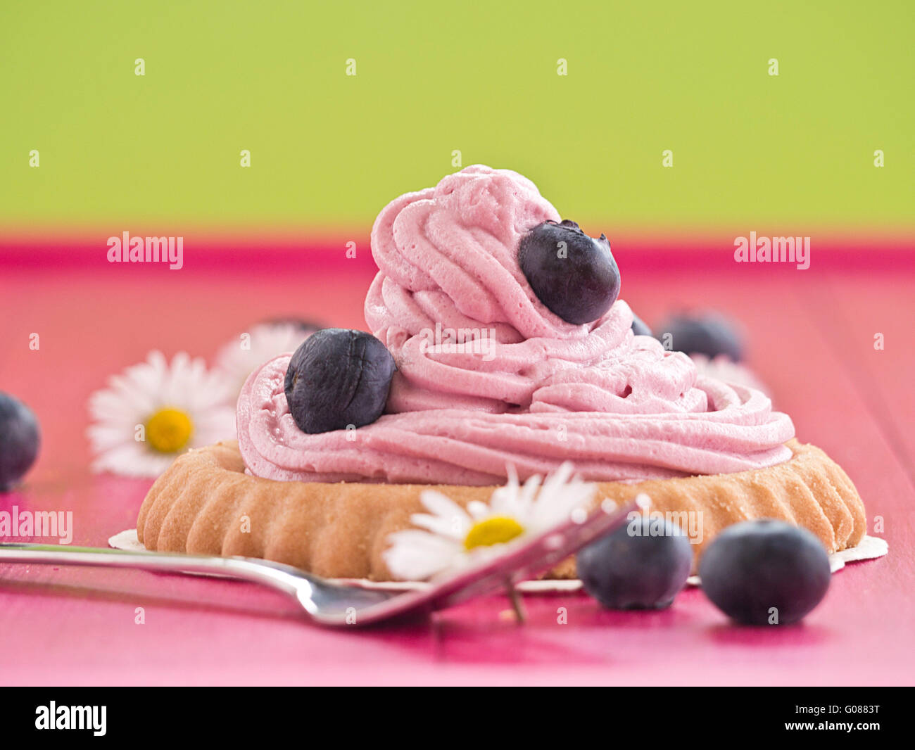Blueberry cake with whipped cream and fresh bluebe Stock Photo - Alamy
