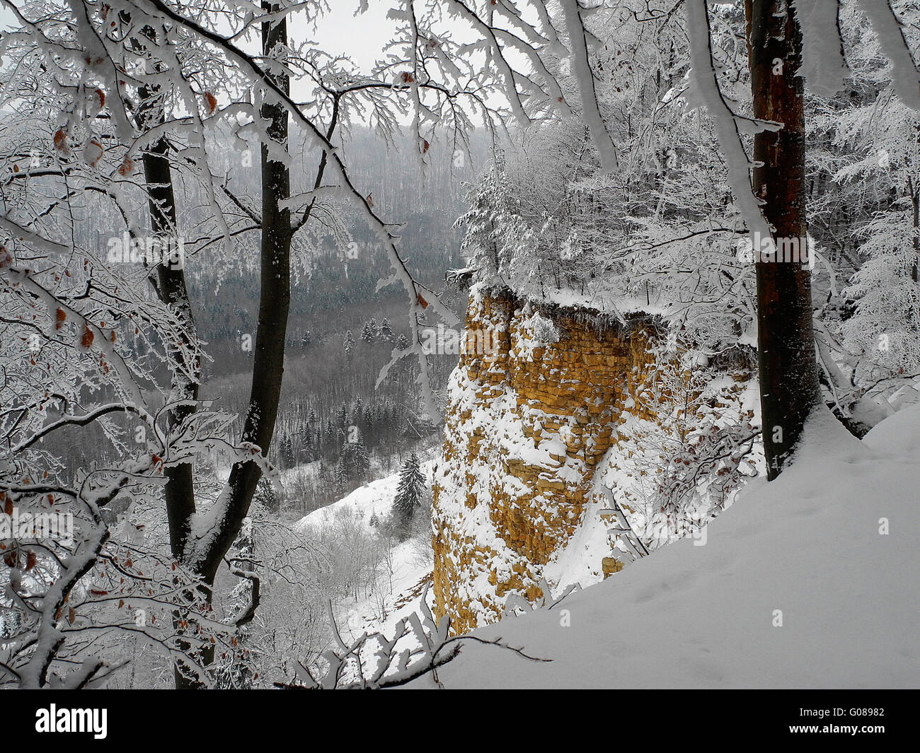 Landslide on the escarpment, swabian alb, germany Stock Photo