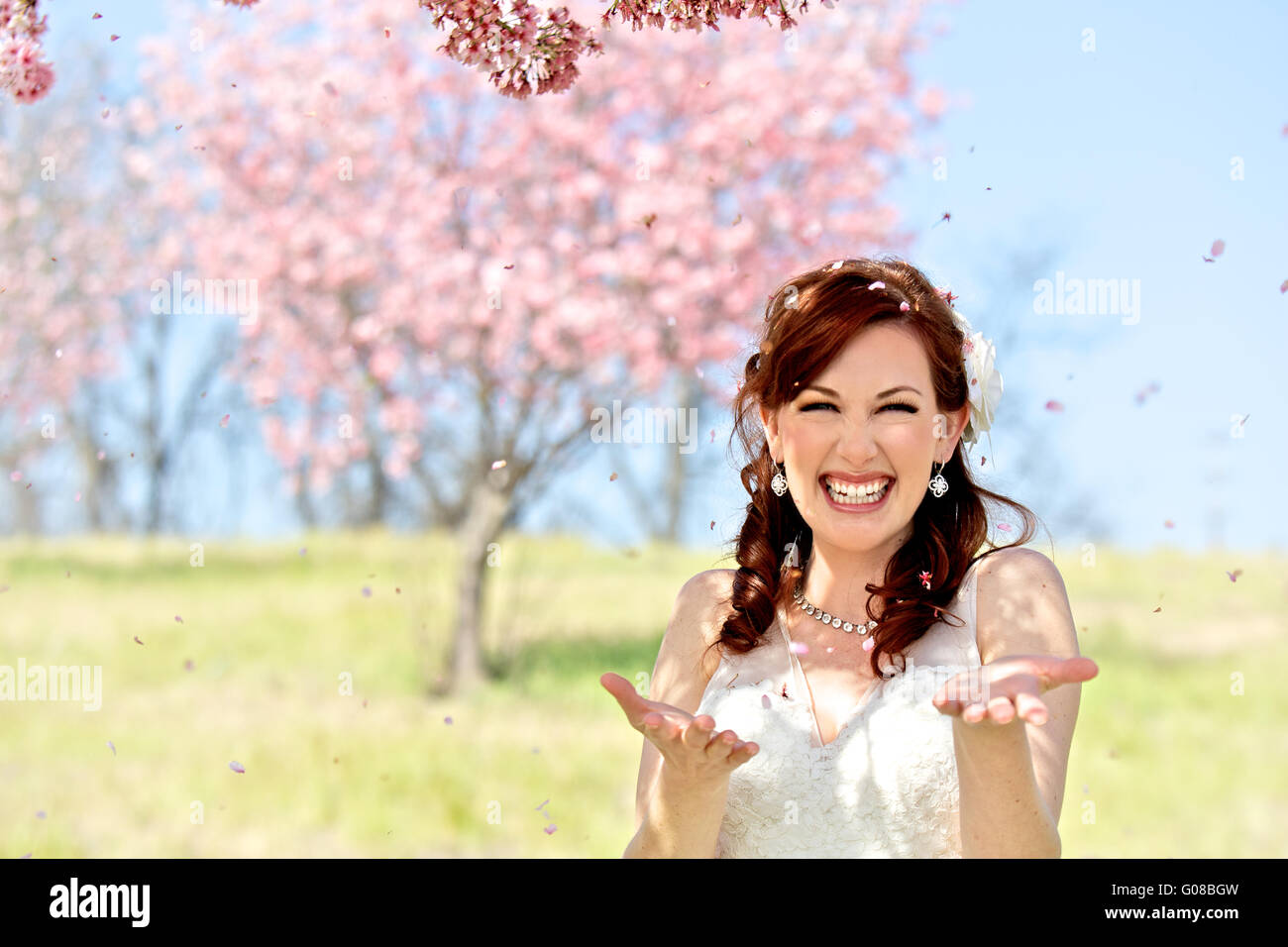 Bride is Showered in Cherry Blossoms Stock Photo