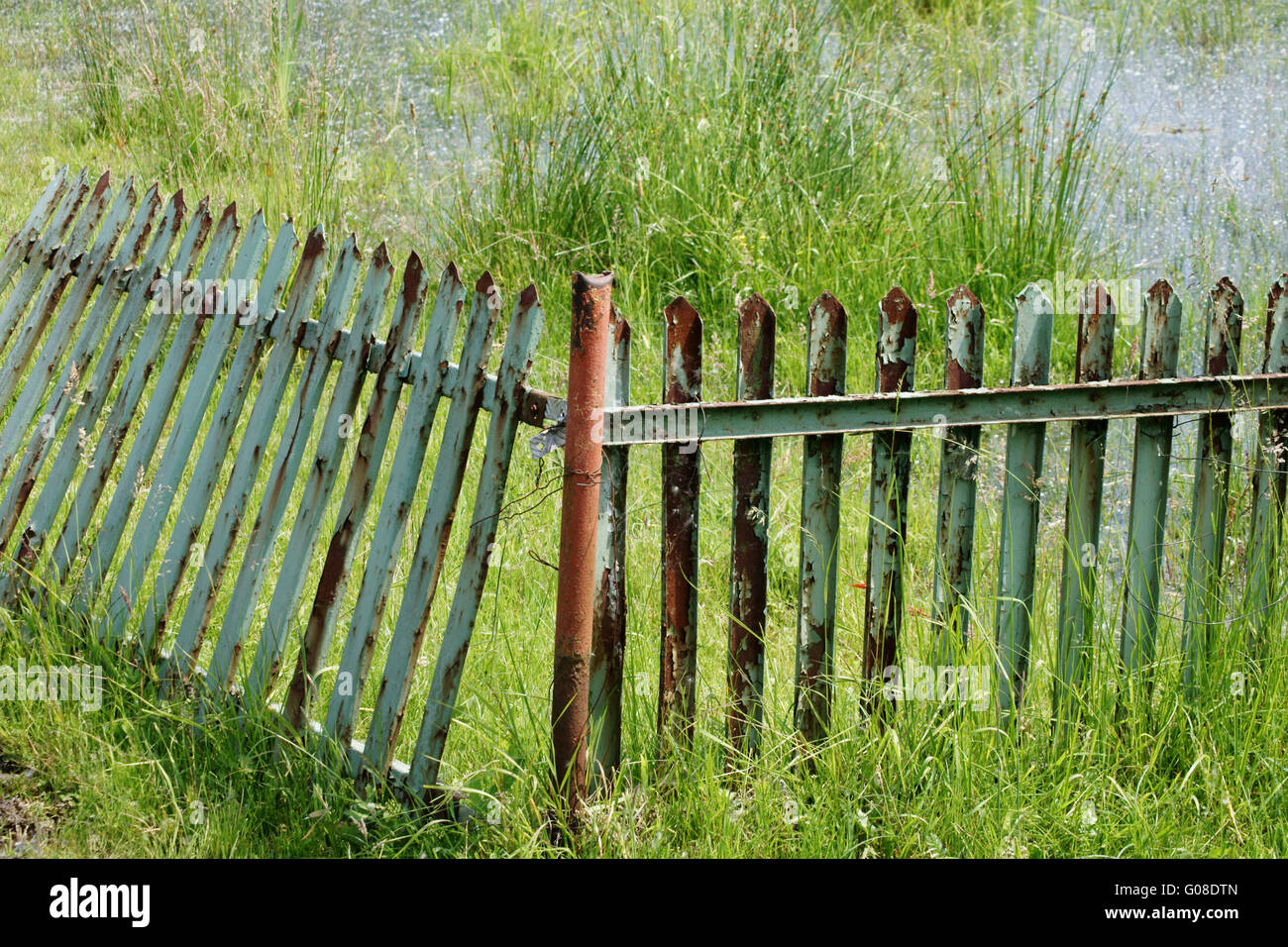 Marsh Rotten Slats marsh hi-res stock photography and images - Alamy