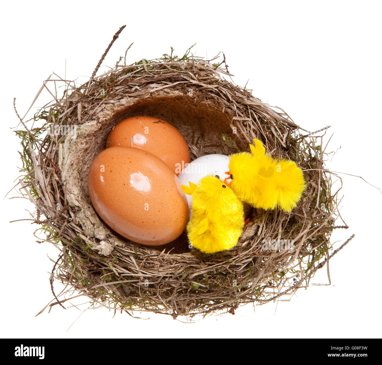 birds nest with eggs and toy chickens inside Stock Photo Alamy