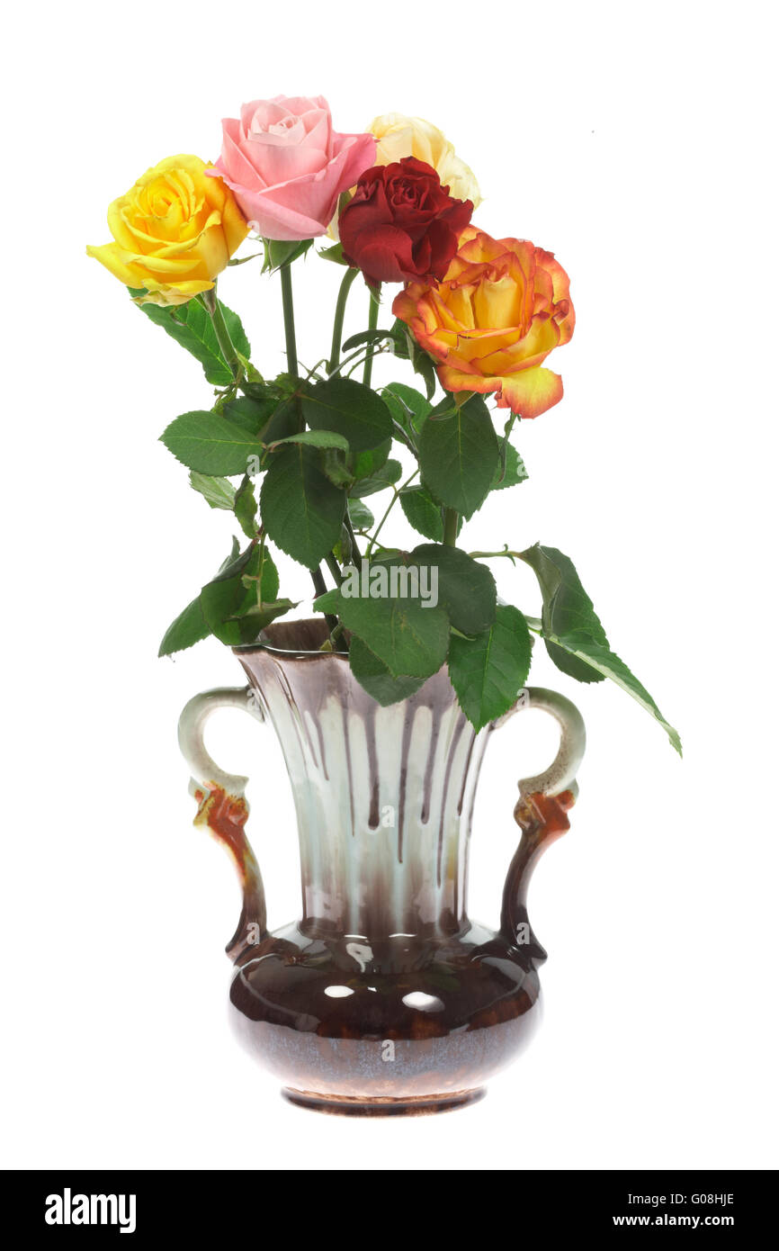 Roses in a vase. Stock Photo