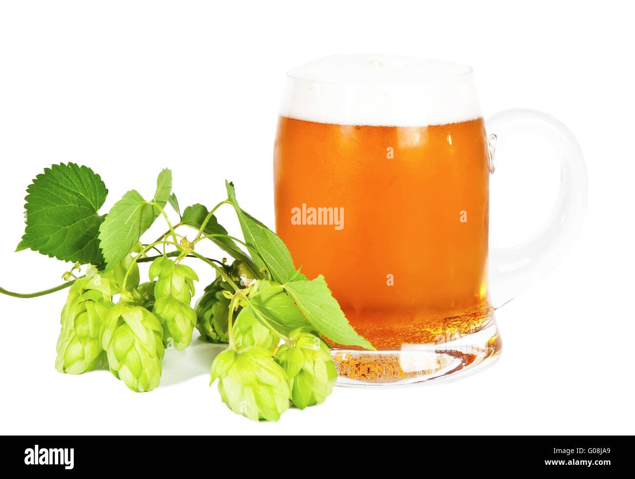 Glass of beer with foam and branch of green hop Stock Photo