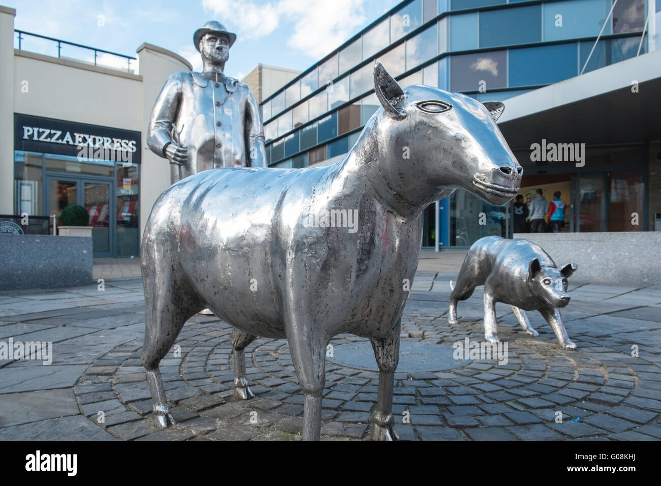 Metal Farm Sculptures Called The Drover In Carmarthen Town Centre 