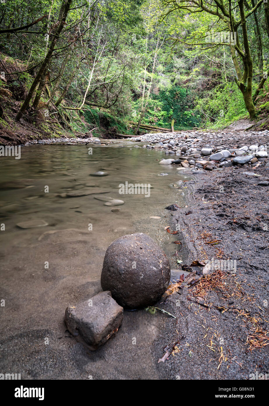 Peaceful forest stream Stock Photo