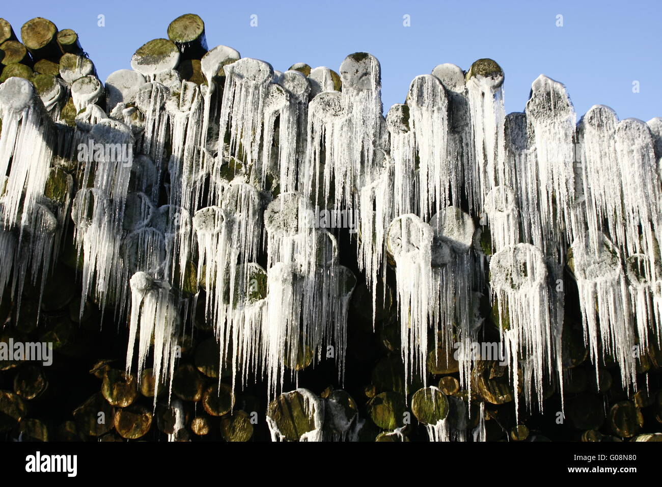 Frozen Wood im Winter Stock Photo Alamy