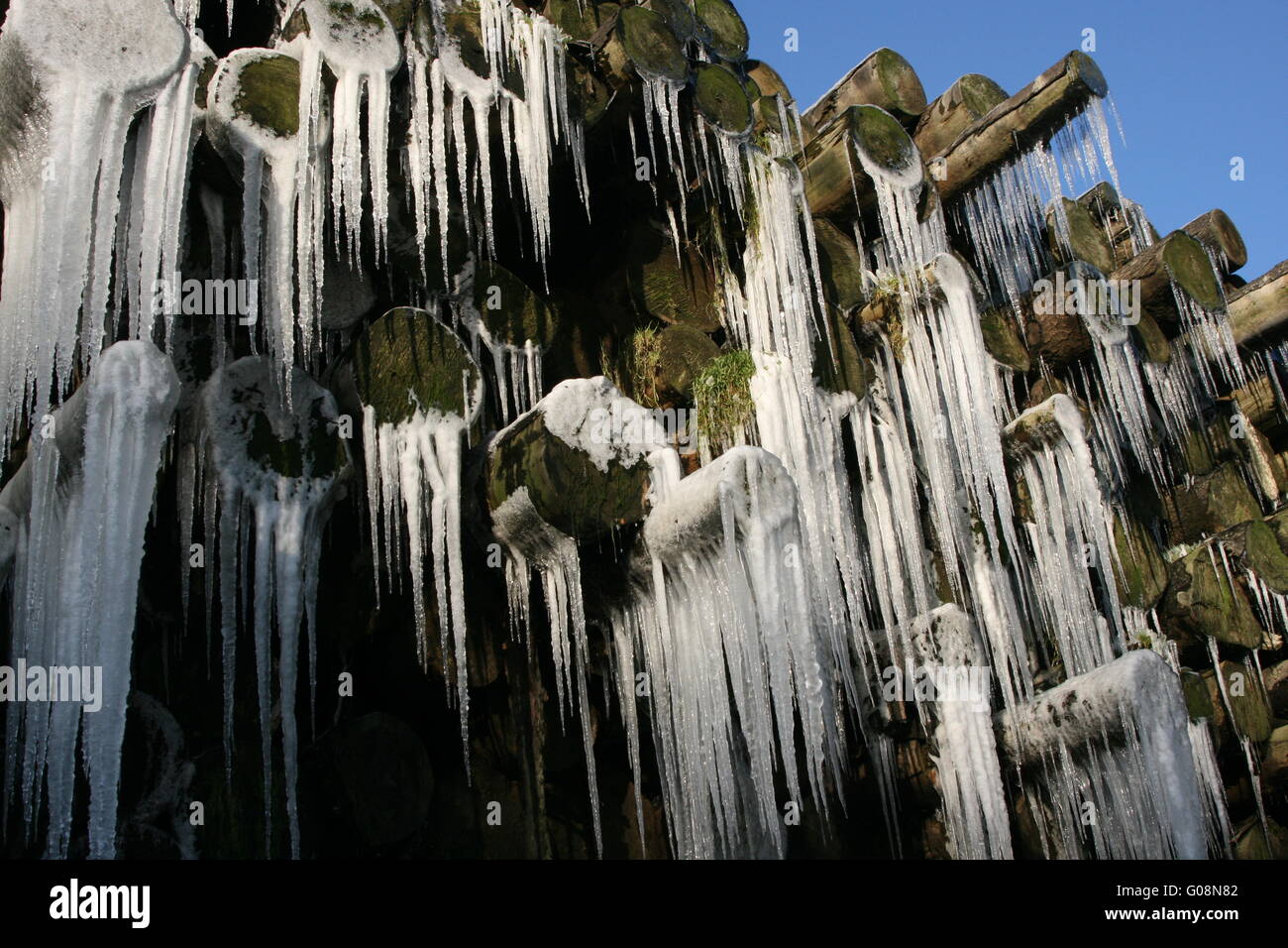 Frozen Wood im Winter Stock Photo Alamy