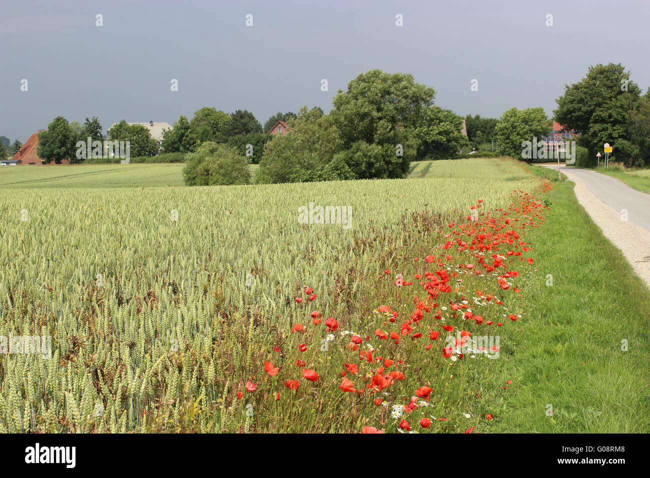 Summer on the island of Poel Stock Photo