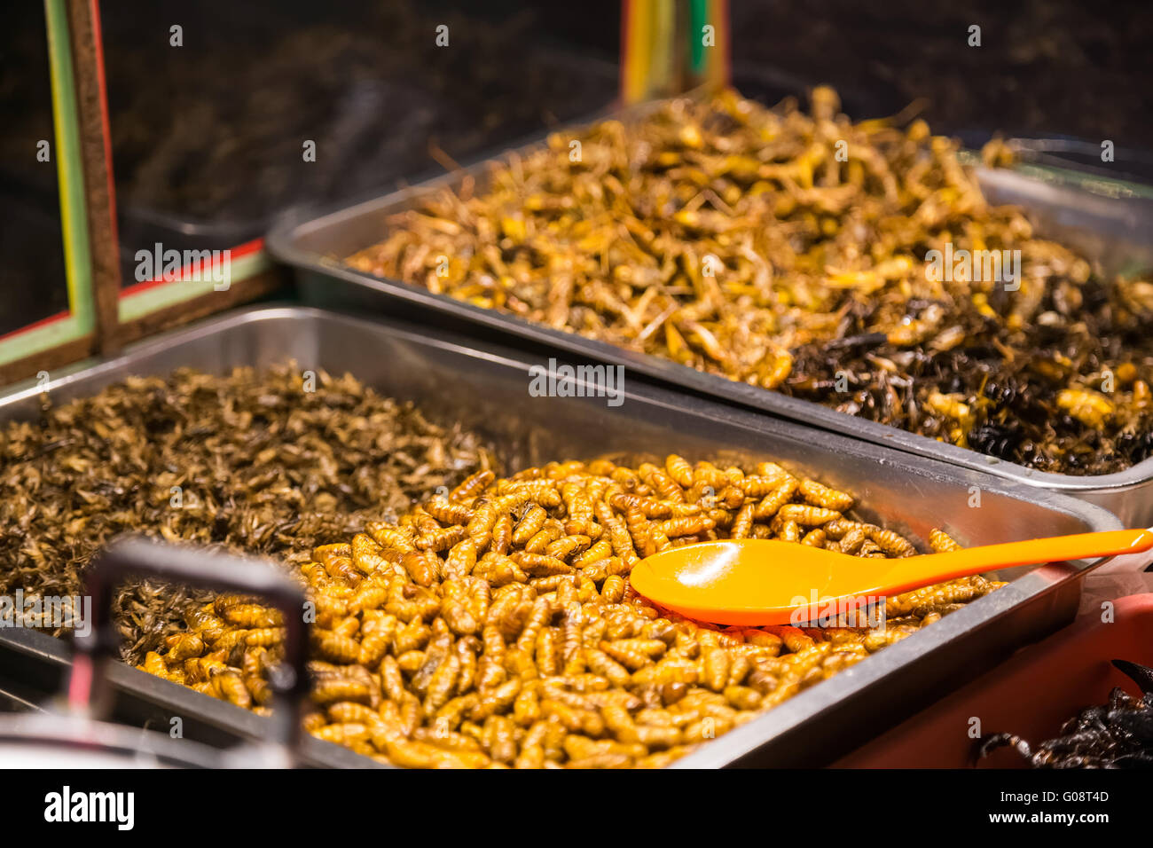 Fried insects like bugs, grasshoppers, larvae, caterpillars and scorpions are sold as food on the steet of Pattaya, Thailand Stock Photo