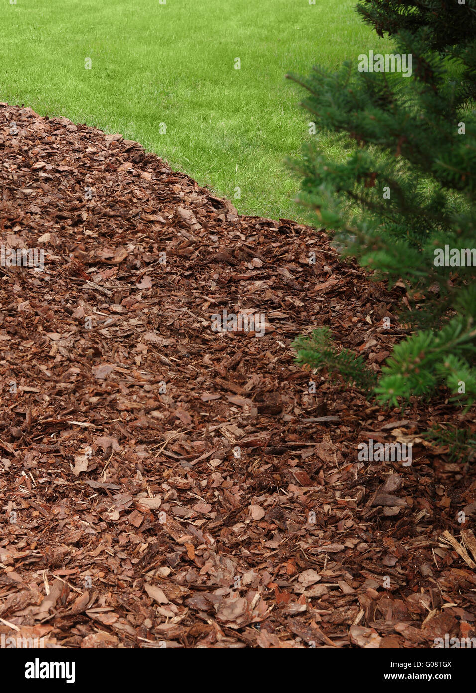 bark mulch and lawn Stock Photo