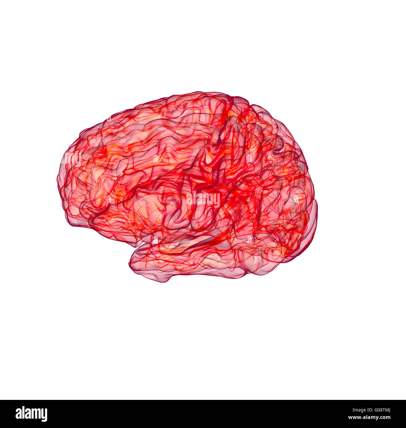 red x-ray of human brain Stock Photo