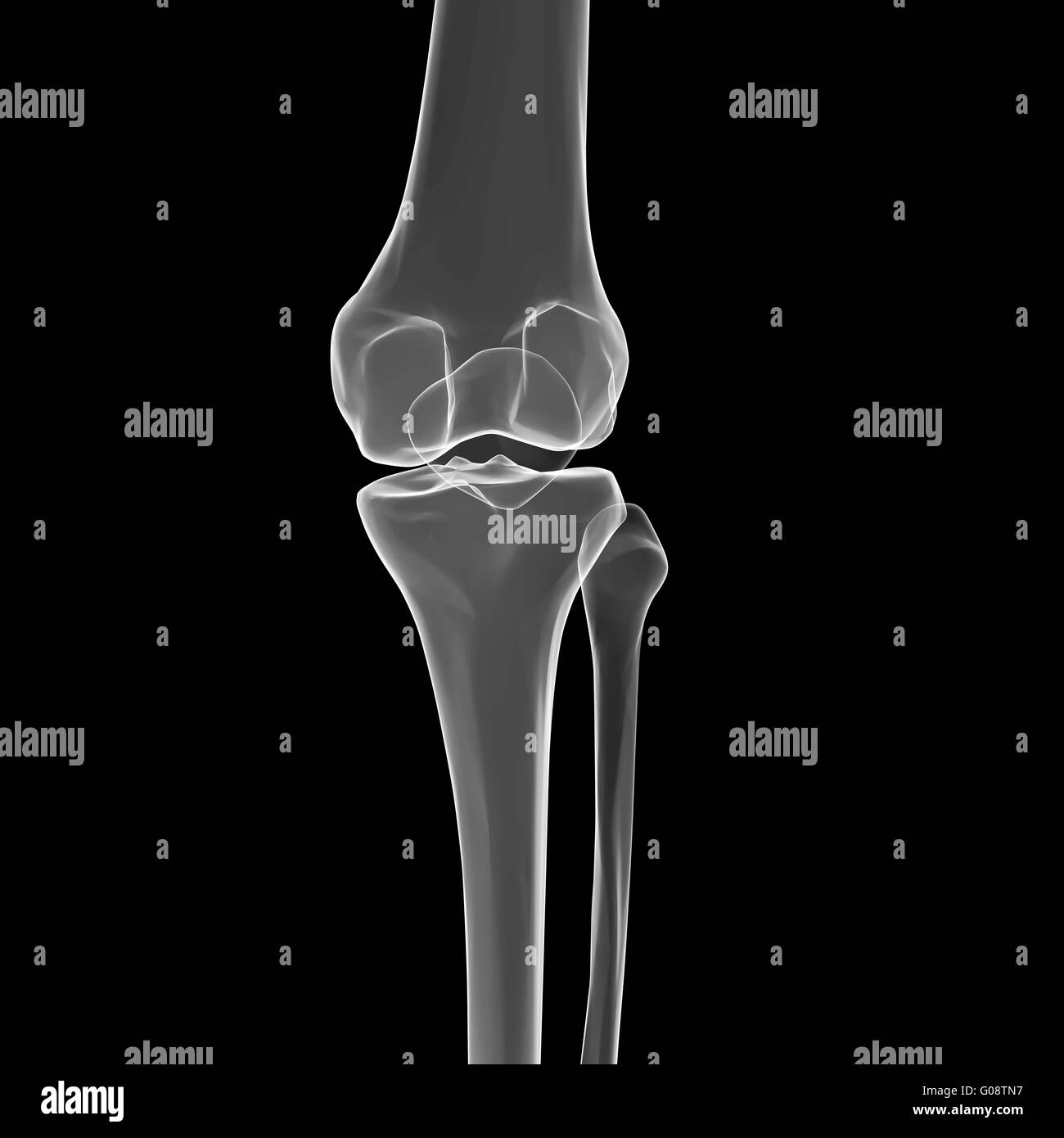 Human joint highlighted x ray hires stock photography and images Alamy