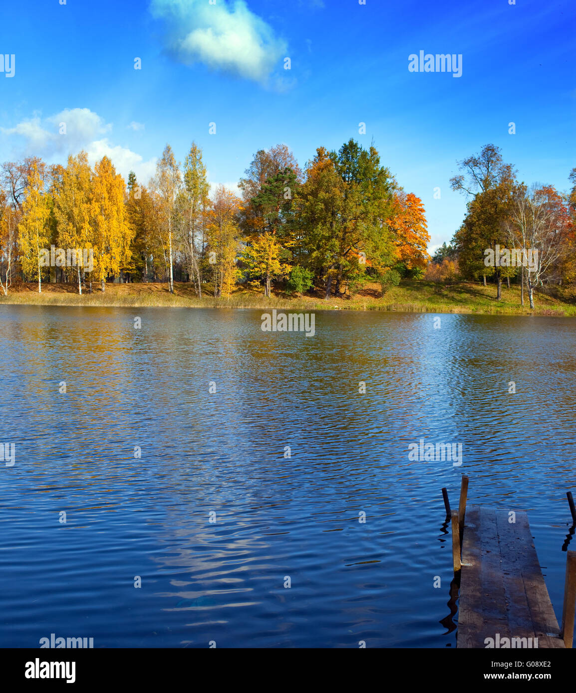 The bright autumn wood is reflected in the lake Stock Photo - Alamy