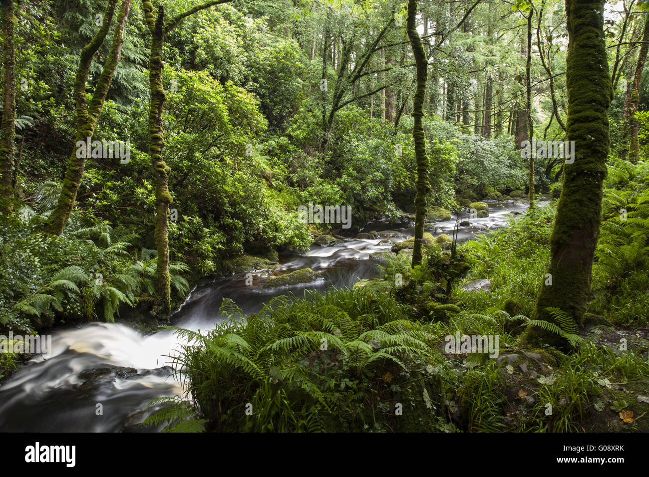 The end of the Torc waterfall in Killarney Nationa Stock Photo