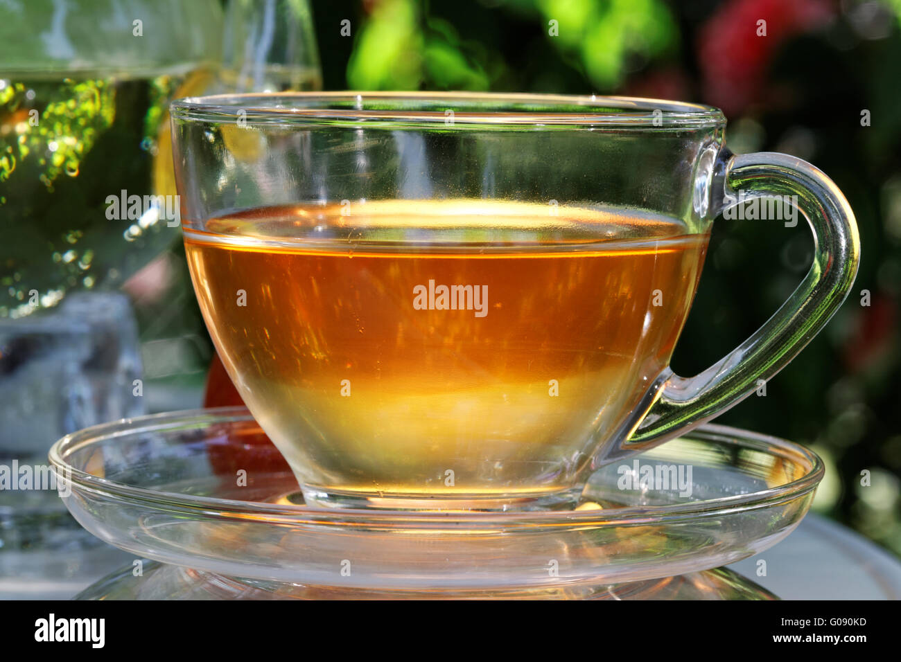Tea cup. Stock Photo