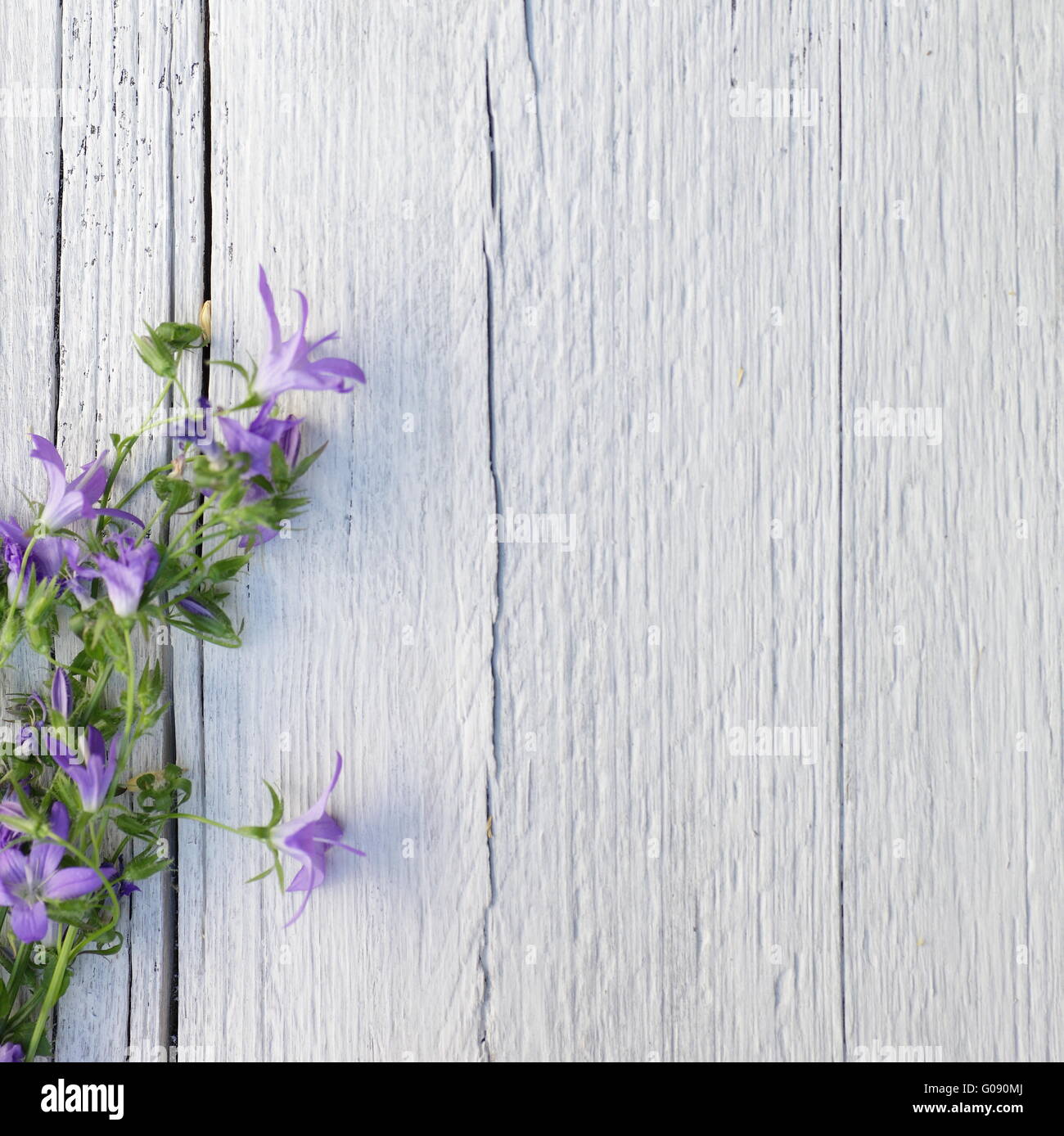 Bunch of purple flowers on white painted wood Stock Photo