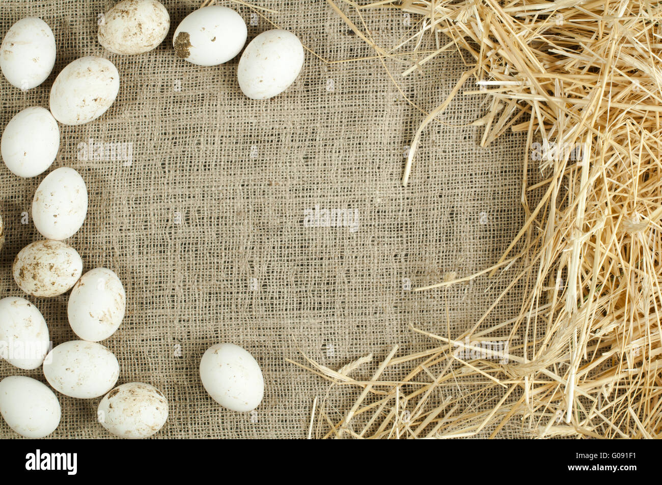 Organic white domestic eggs on sackcloth and straw Stock Photo - Alamy
