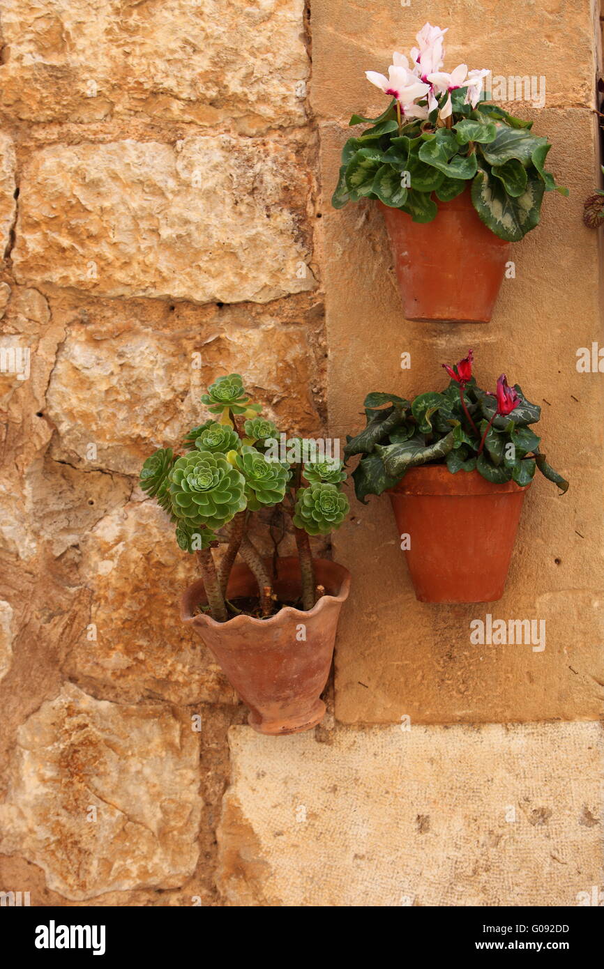 Hanging plant pots with flowers Stock Photo