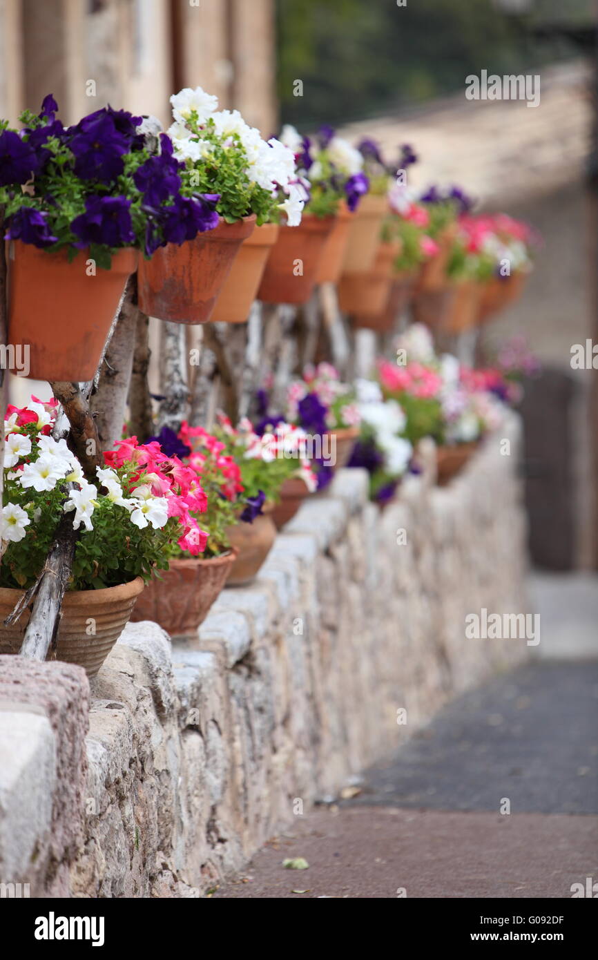 Row of colourful flower pots on a street Stock Photo