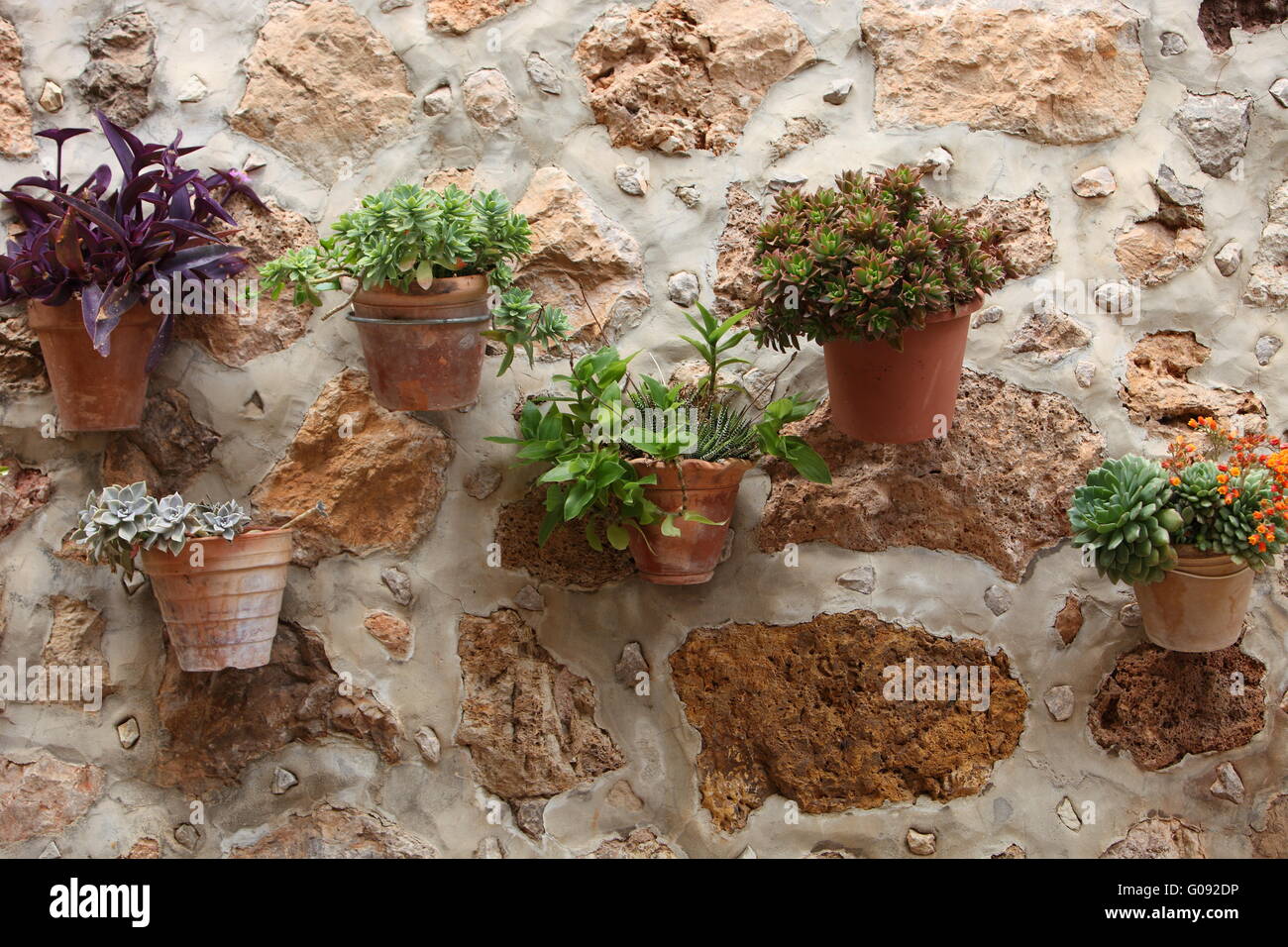 Decorative potted plants on a stone wall Stock Photo Alamy