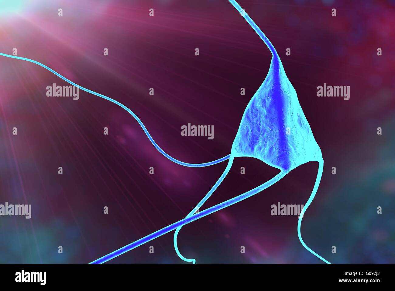 Nerve cell. Computer artwork of a nerve cell, or neuron Stock Photo - Alamy