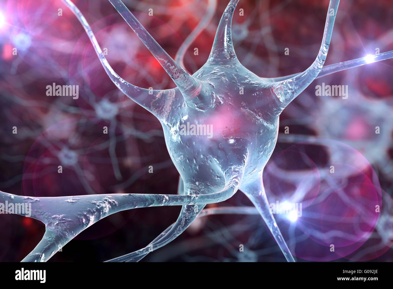 Nerve cells. Computer artwork of nerve cells, or neurons Stock Photo ...