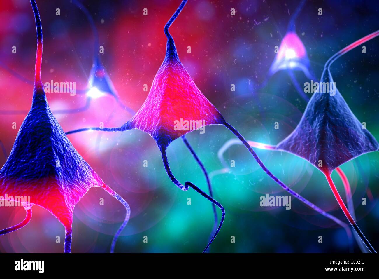 Nerve cells. Computer artwork of nerve cells, or neurons Stock Photo ...
