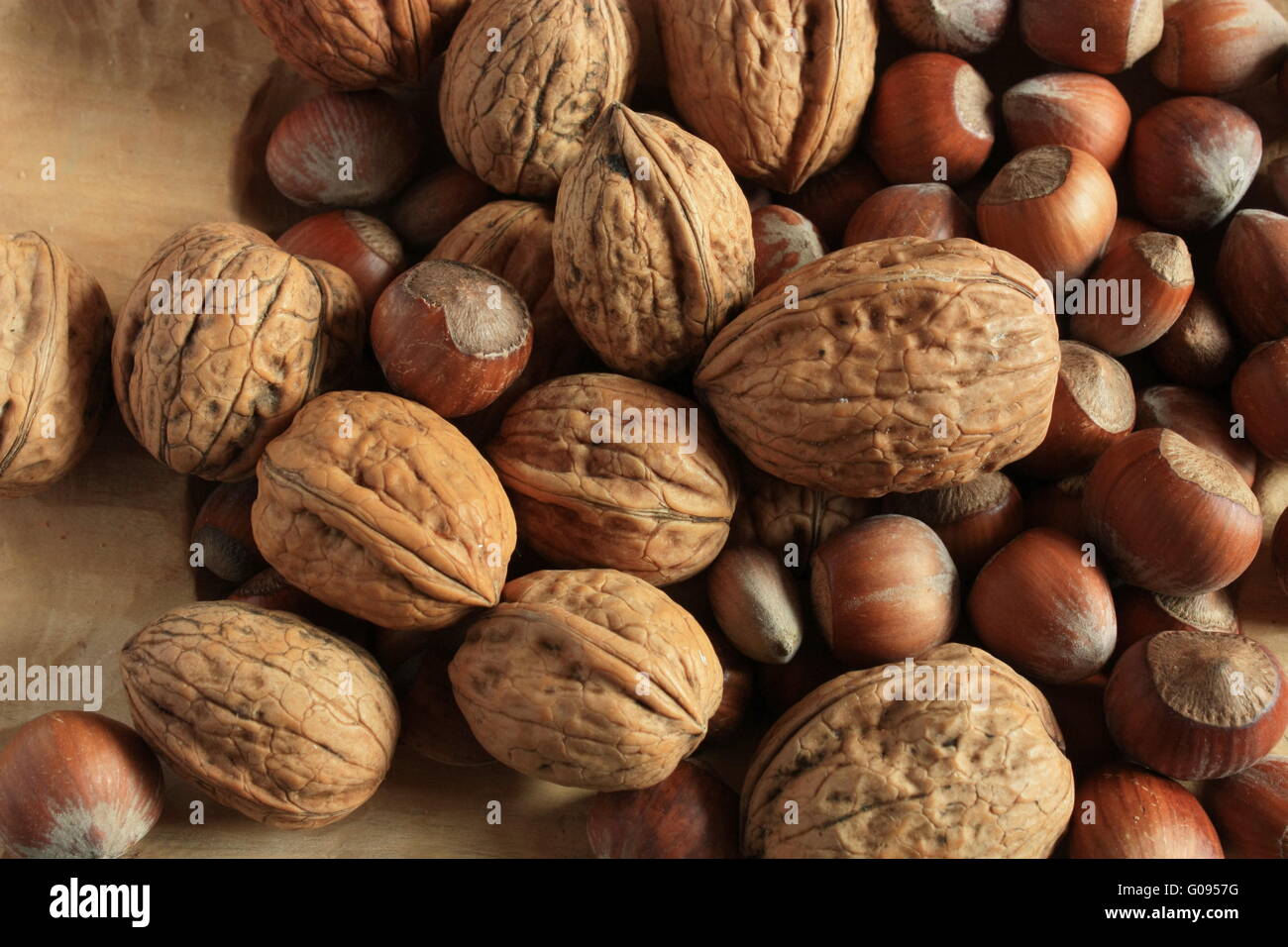 Hazelnuts and walnuts Stock Photo Alamy