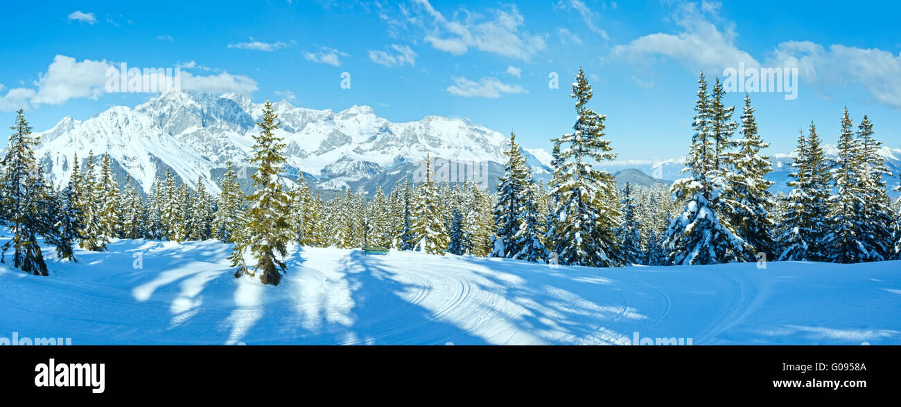 Fir Mountain High Resolution Stock Photography and Images - Alamy