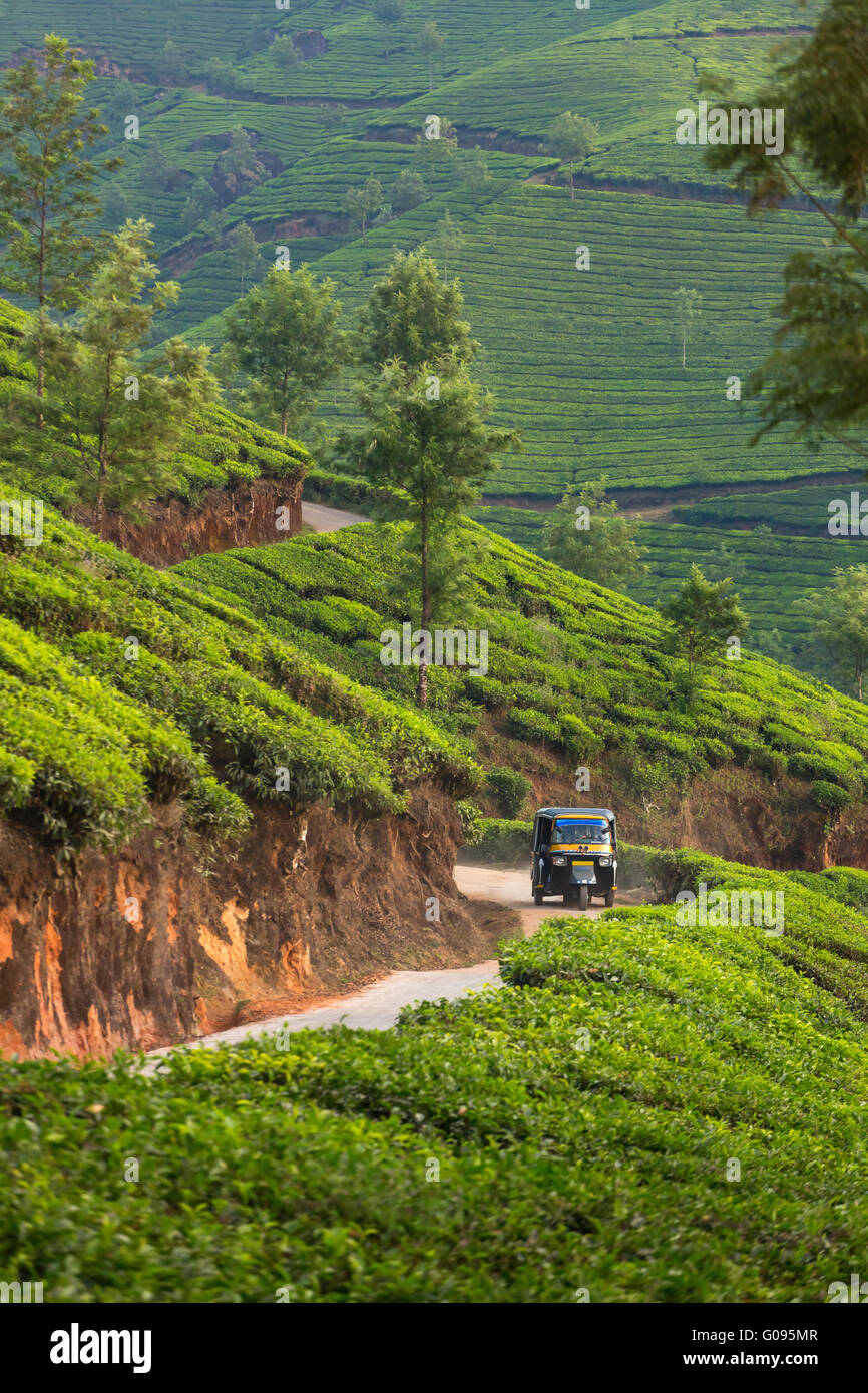 Indian Auto Rickshaw travelling through tea plantation near Munnar, India Stock Photo