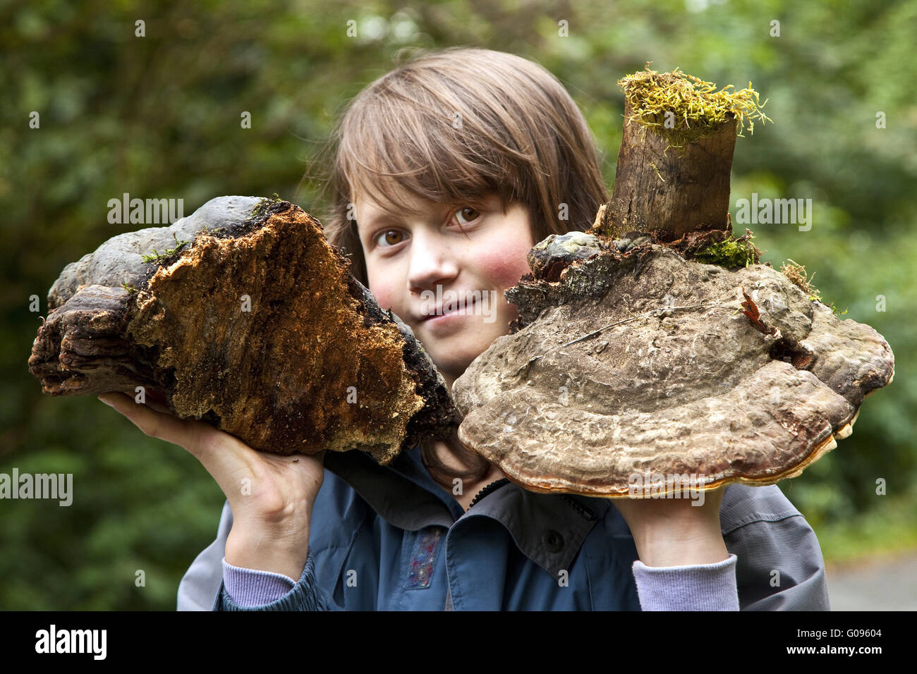 A girl with two big tree mushrooms in Bad Laasphe. Stock Photo