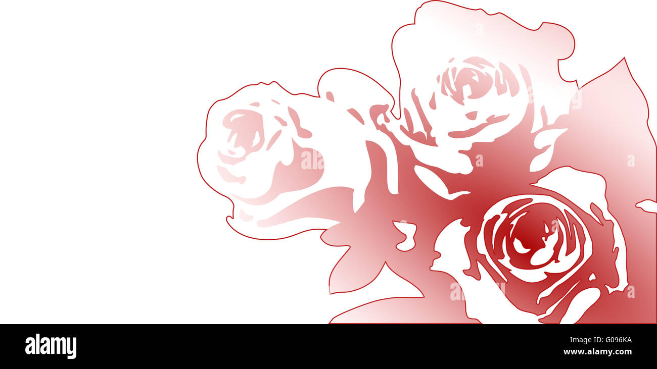 red roses on a white background - illustration Stock Photo