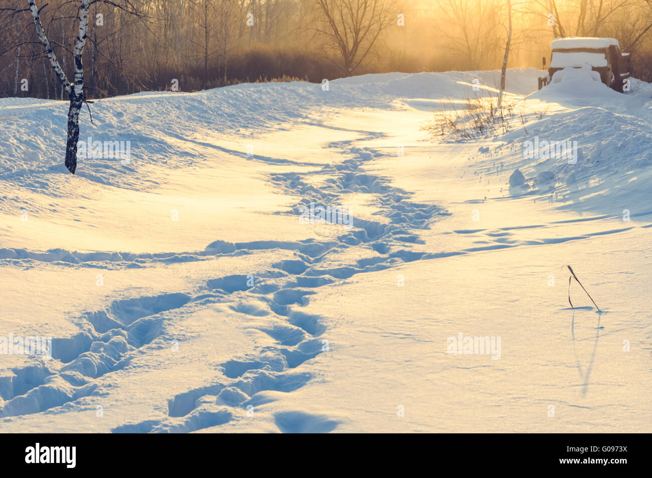 winter human footprints in the snow at sunrise Stock Photo - Alamy