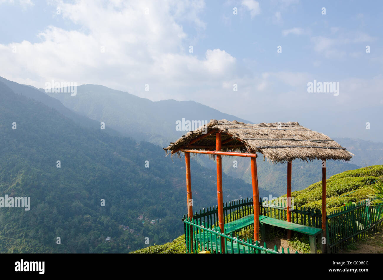 A small roadside rest shed with a beautiful view of valley and tea plantations in Orange Valley Tea Estate, Darjeeling Stock Photo