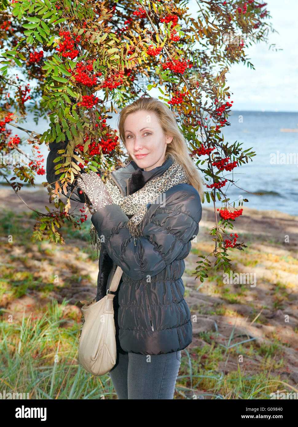 woman near red berries of a ripe mountain ash. Stock Photo