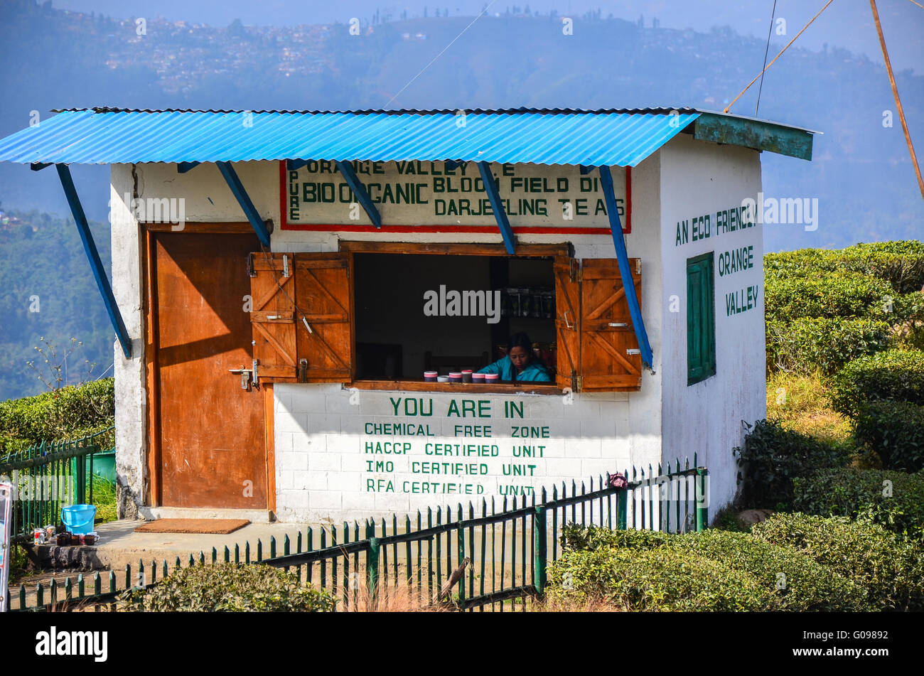 Bloomfield Division shop selling Pure, Bio Organic, Orange Valley Tea Estate Darjeeling Tea. Stock Photo