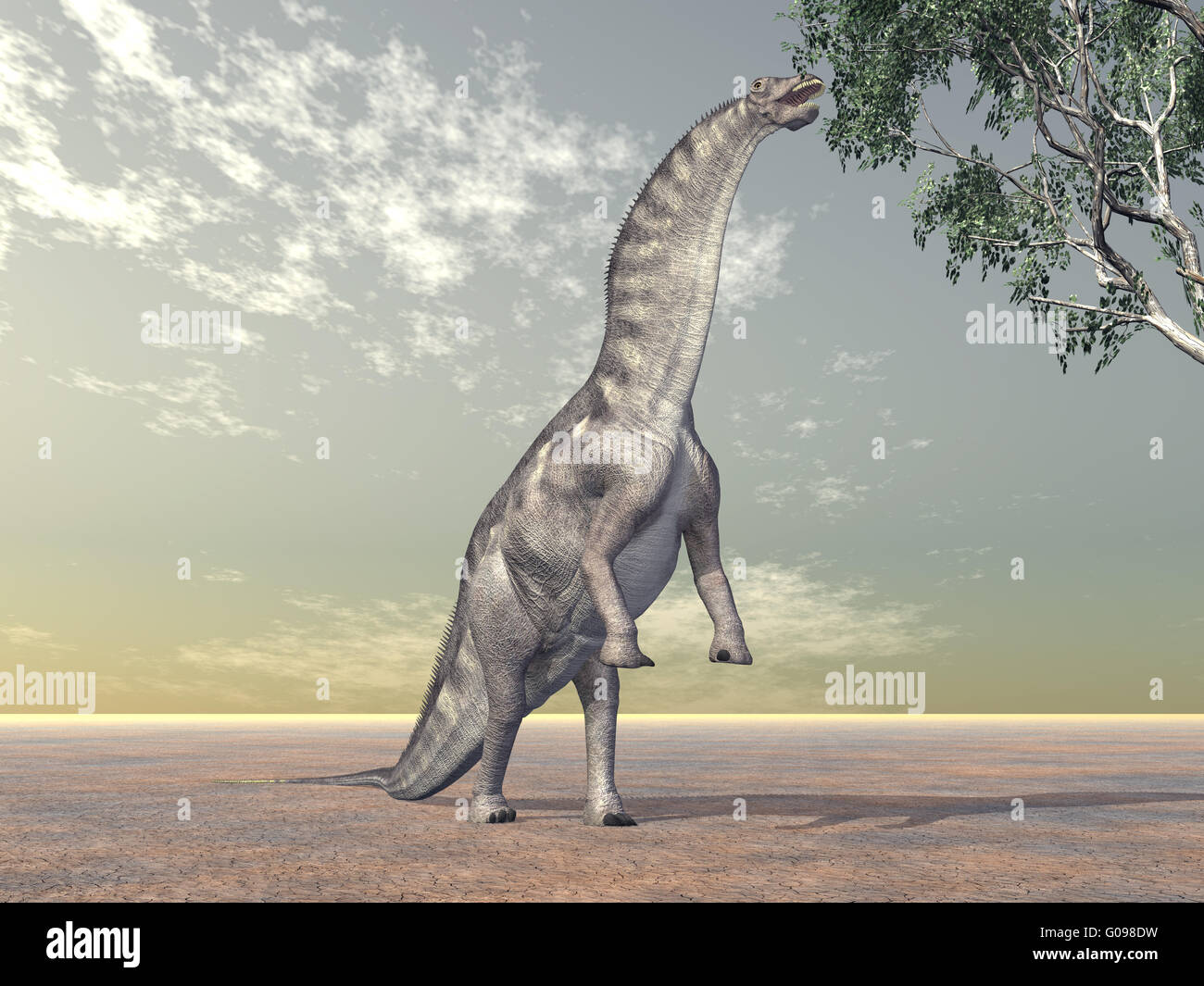 Dinosaur Amargasaurus Stock Photo