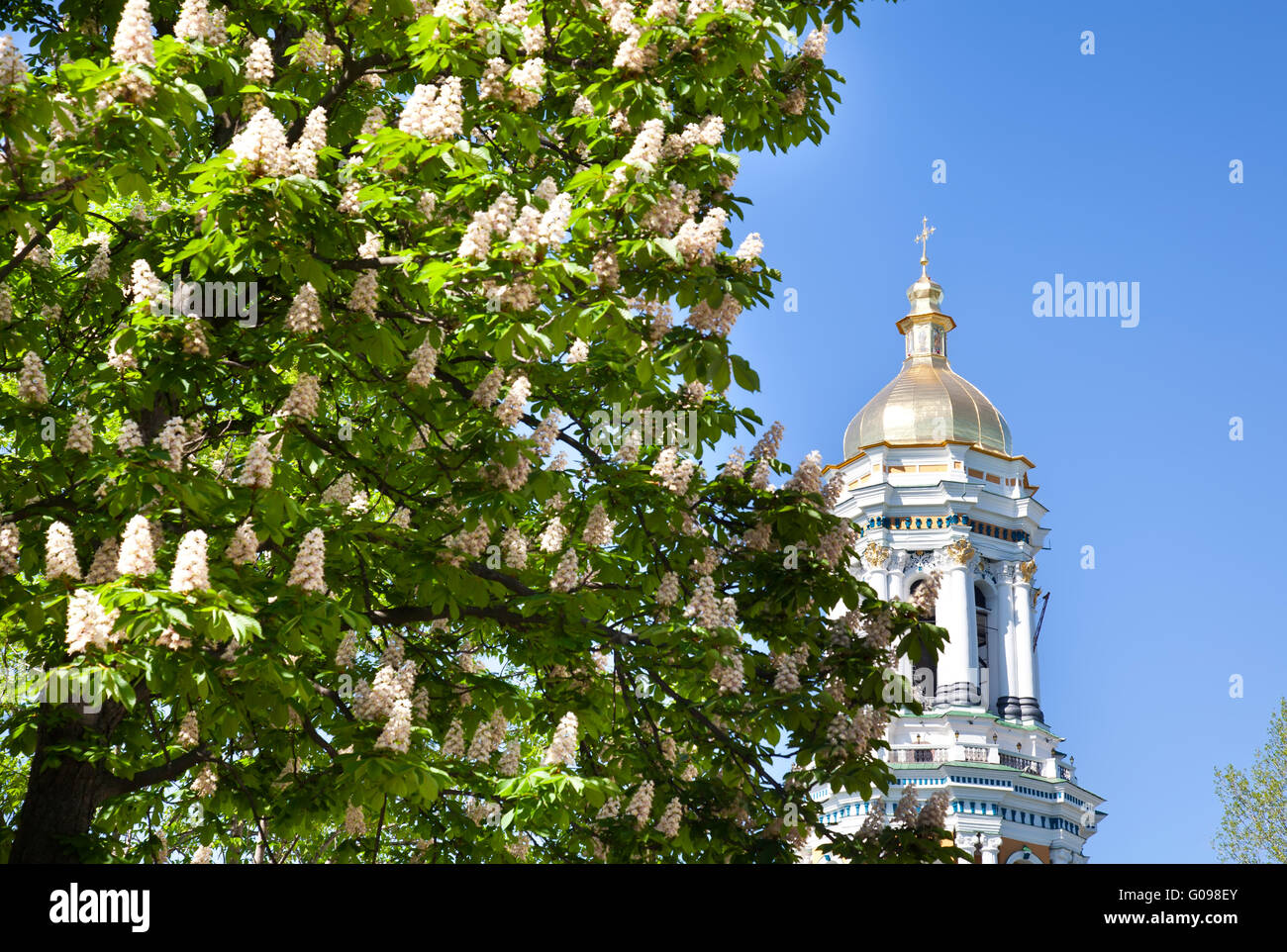 Kiev Pechersk Lavra monastery and chesnut tree in blossom Stock Photo