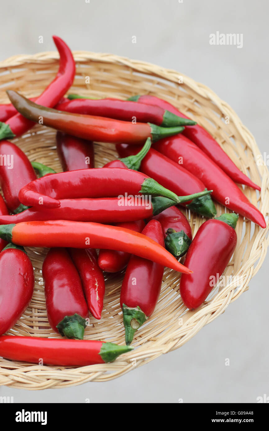 Close up of Home grown organic  fresh long hot red chillies in a woven bowl Stock Photo