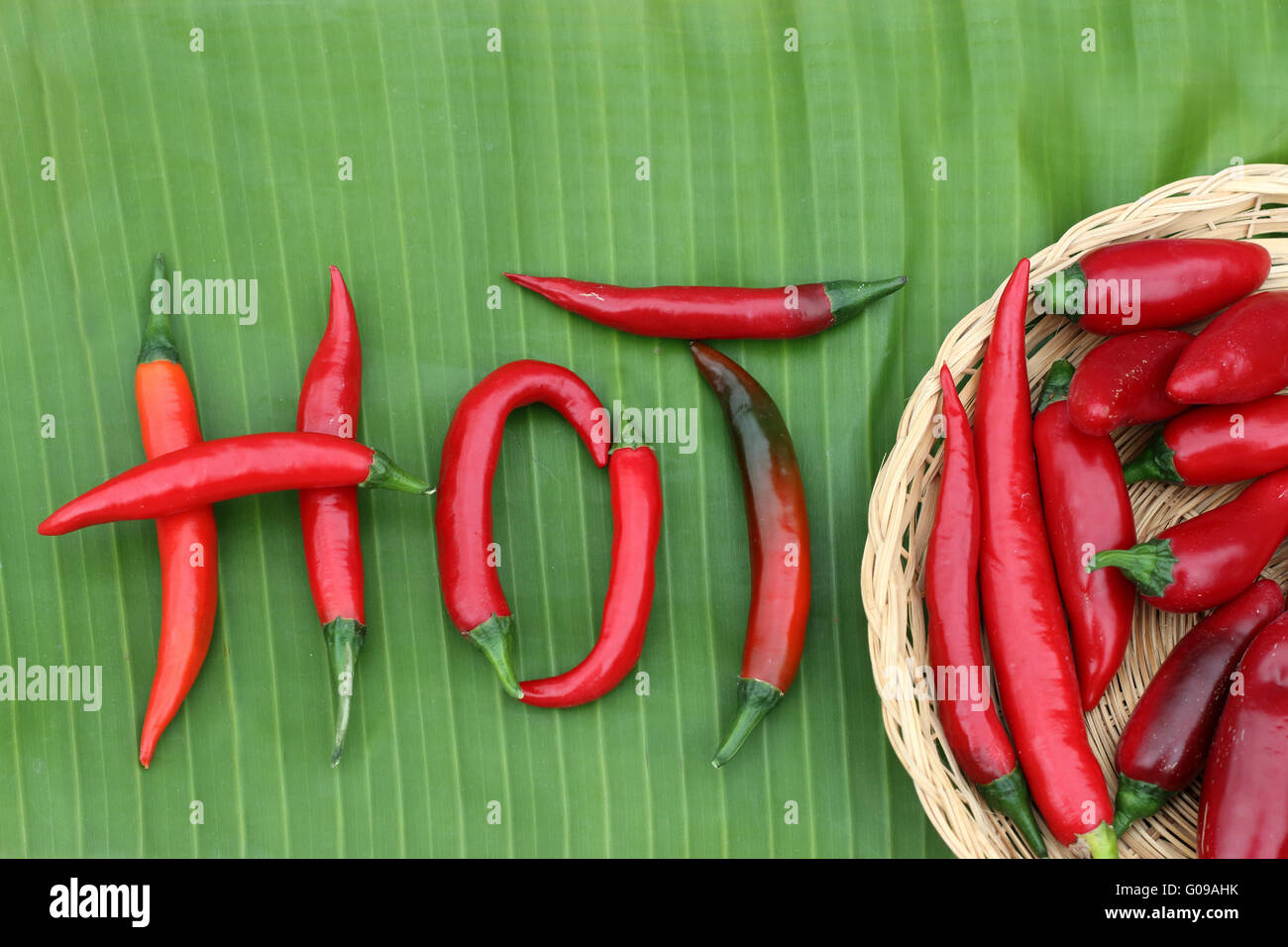 Freshly picked home grown long hot red chillies on banana leaf Stock Photo