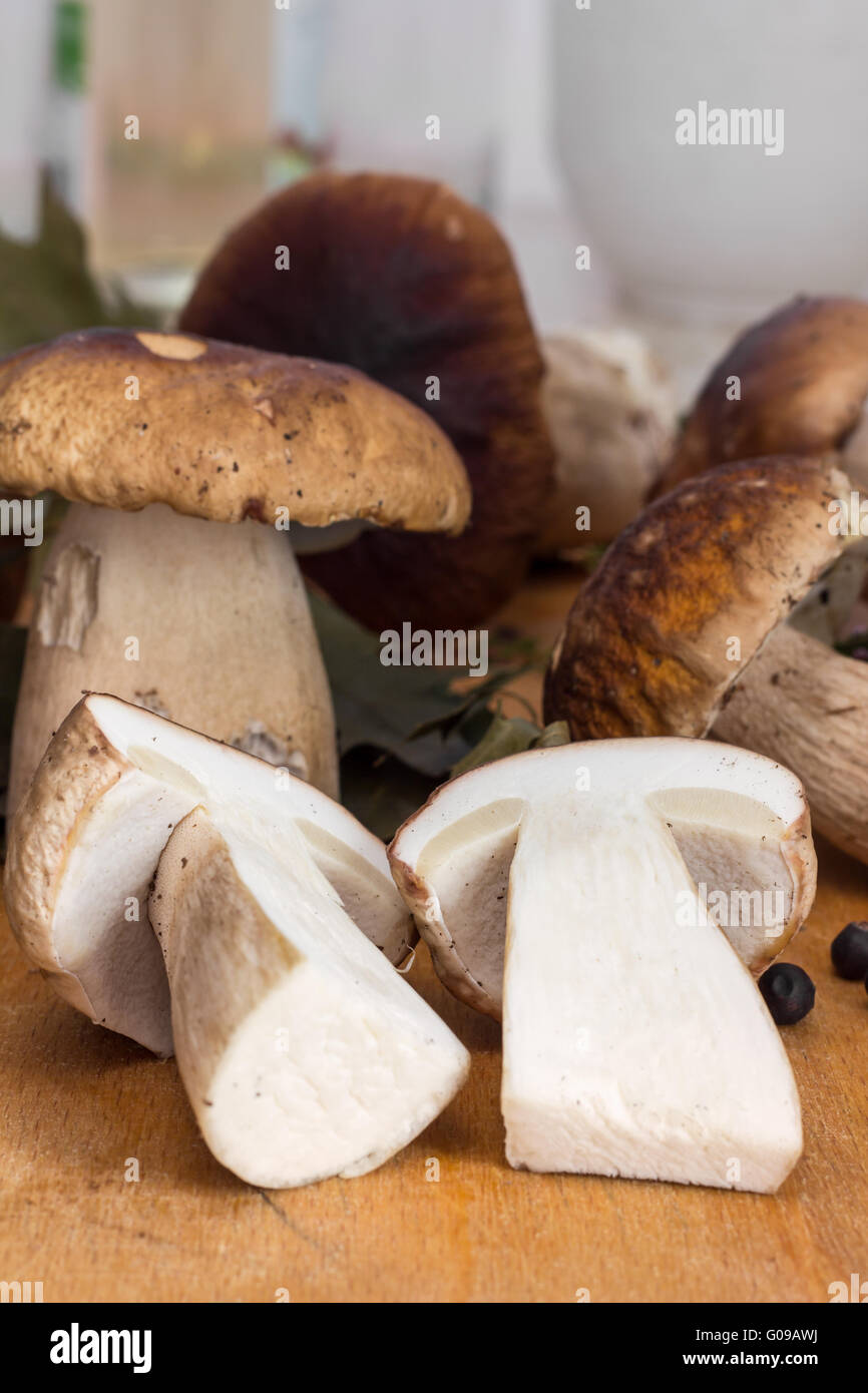 Fresh porcini mushrooms Stock Photo Alamy