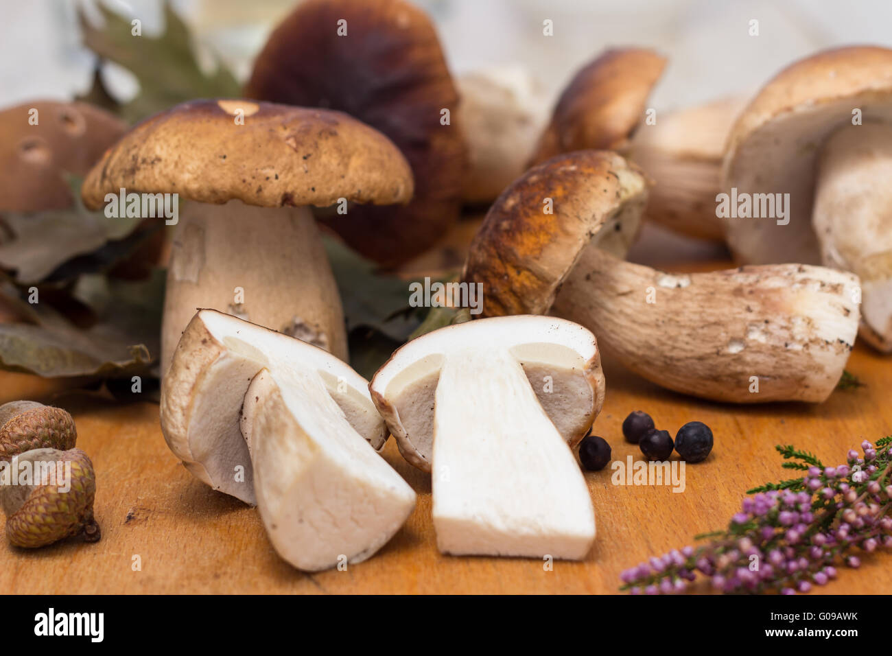Fresh porcini mushrooms Stock Photo Alamy
