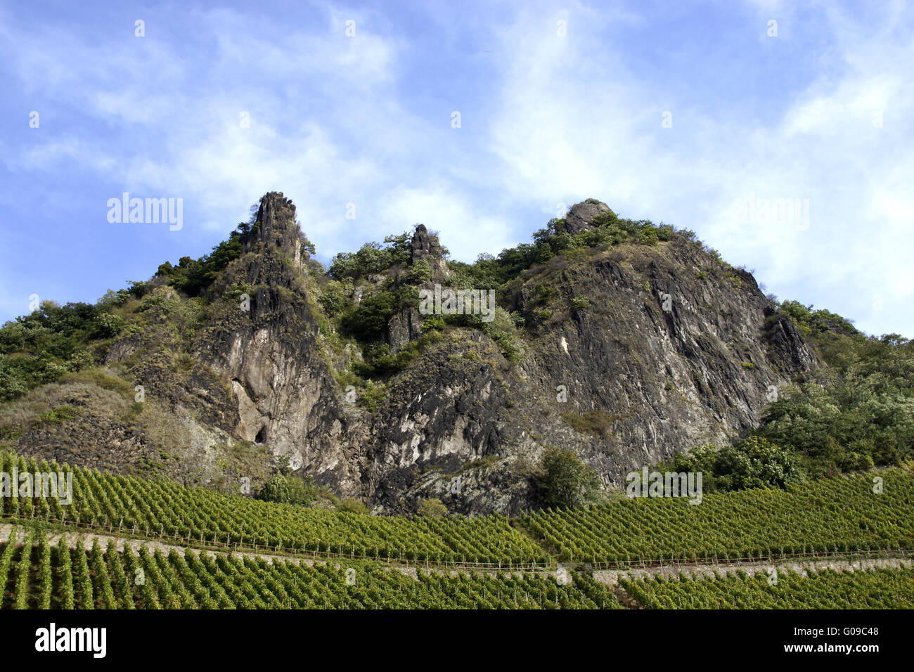 Landscape with vineyards under the Drachenfels, Ko Stock Photo