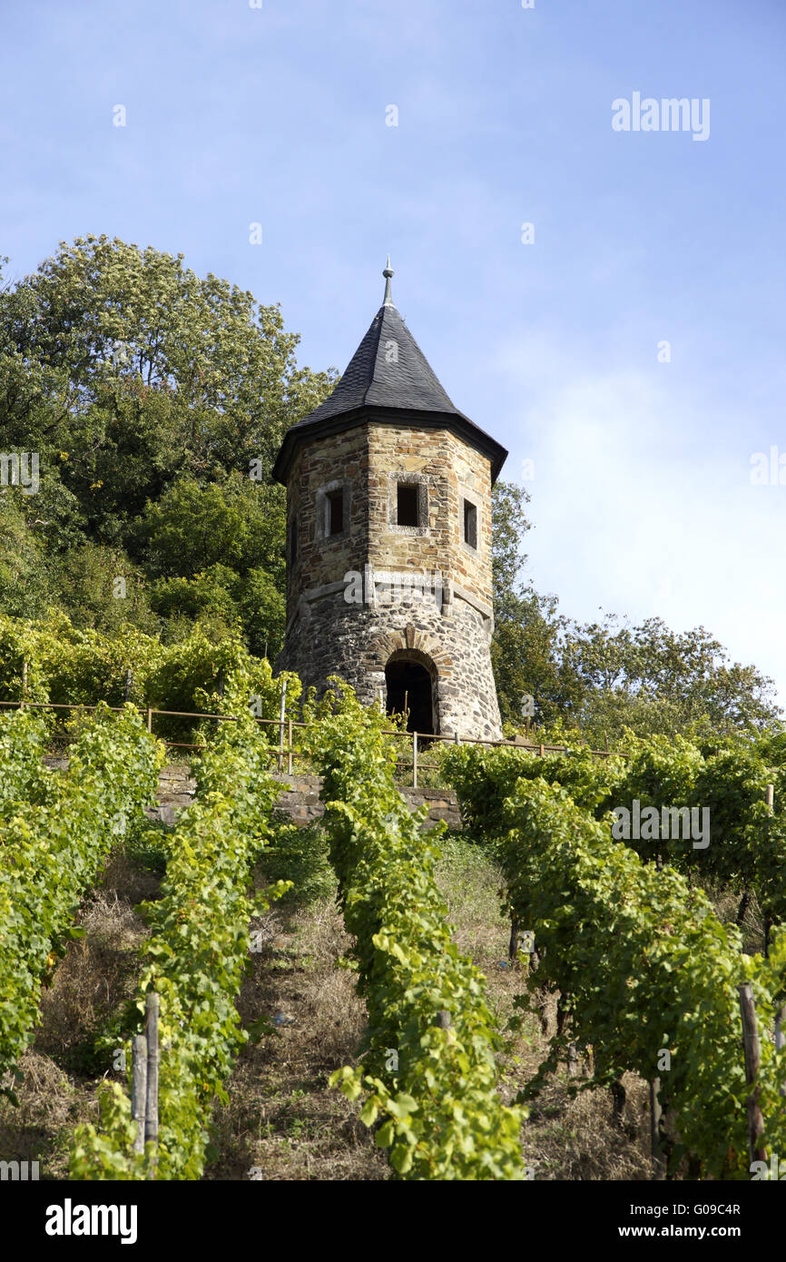 Landscape with vineyards under the Drachenfels, Ko Stock Photo