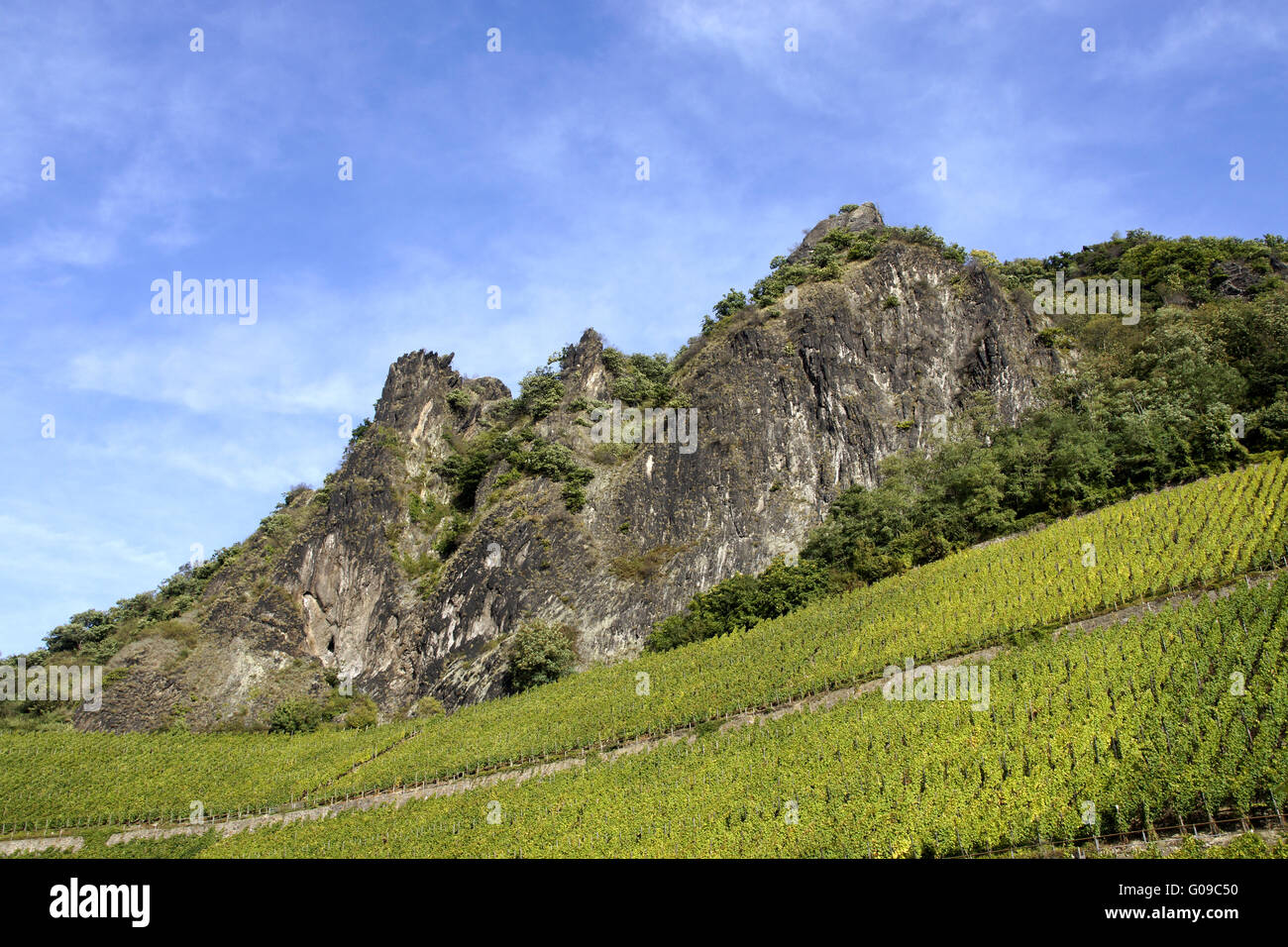 Landscape with vineyards under the Drachenfels, Ko Stock Photo